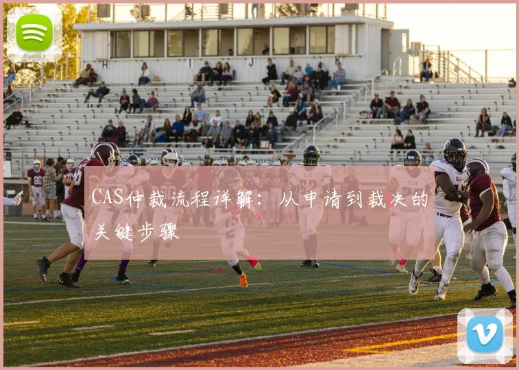 CAS仲裁流程详解：从申请到裁决的关键步骤